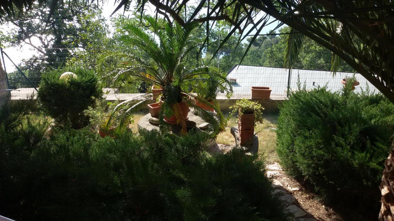 Loft Sul Mare Sirolo Apartment Exterior photo